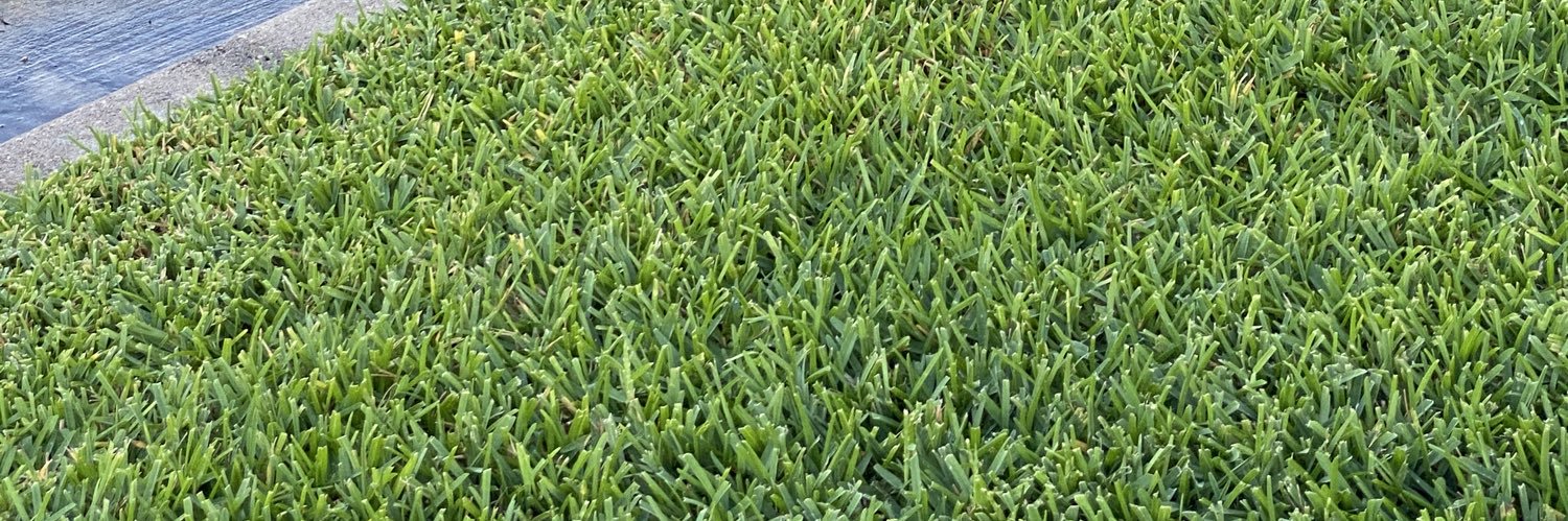 thoughthsaloud's profile banner image