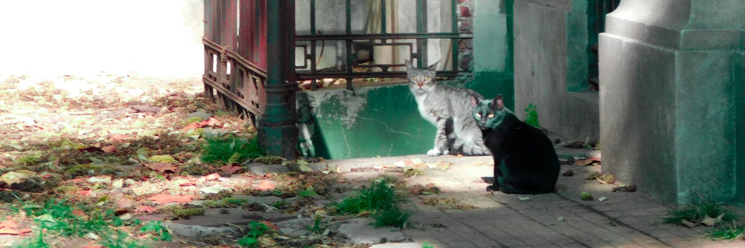 mkc_leon's profile banner image