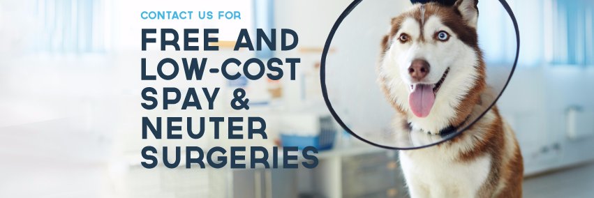 PetsBroward's profile banner image