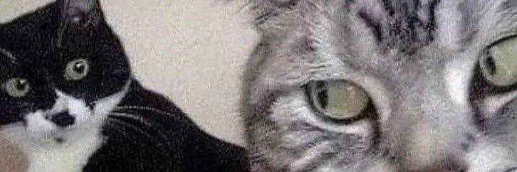 darkmagicsoul's profile banner image