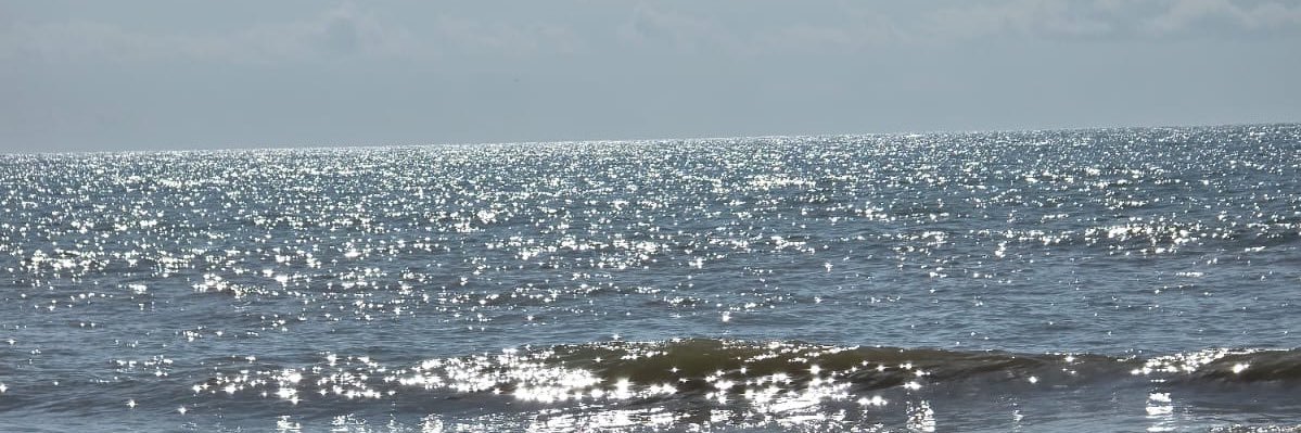 andreachvv's profile banner image