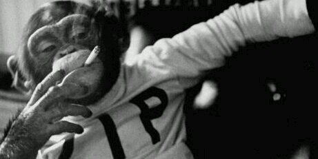 PappaDaddyRaine's profile banner image
