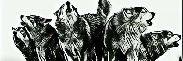 ColmillosMx Profile Banner