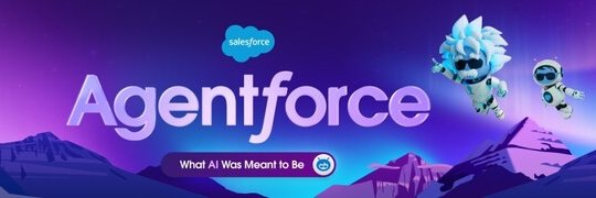 Salesforce Partners banner