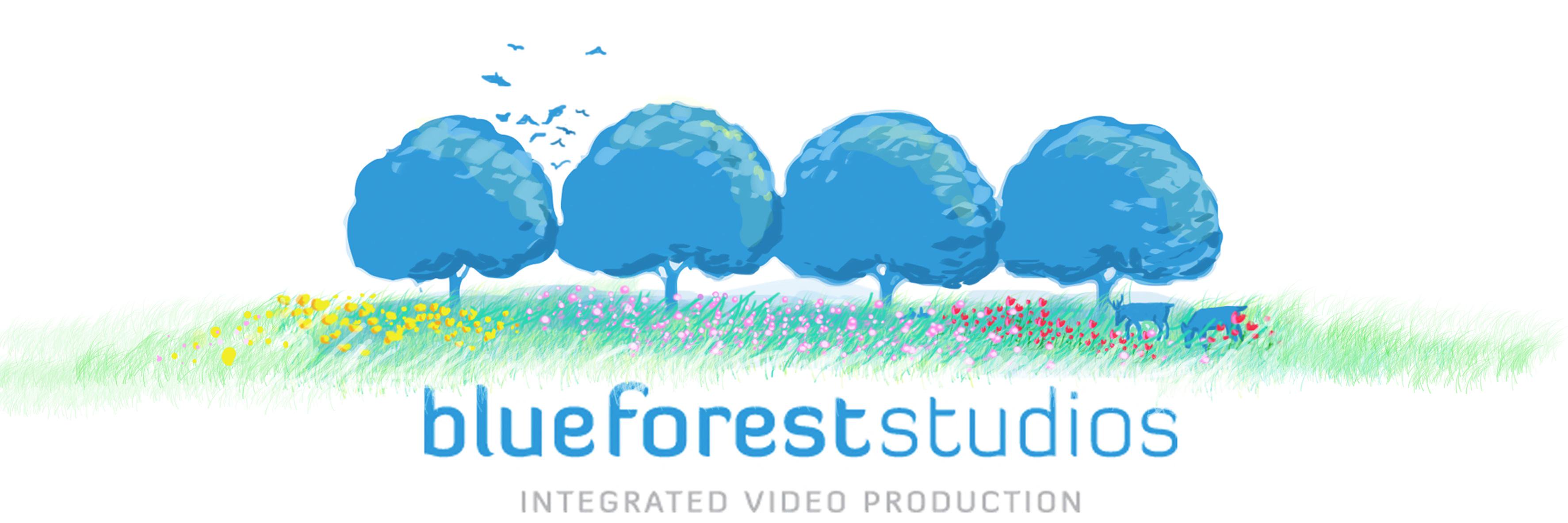 blueforestvideo's profile banner image