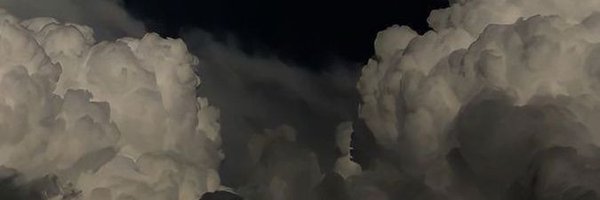 Archbsp Profile Banner