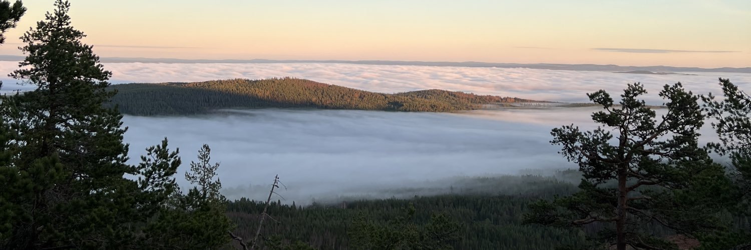 OskarSoderlund's profile banner image