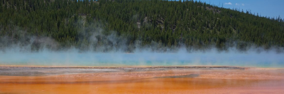 Mitchell Wydetic banner