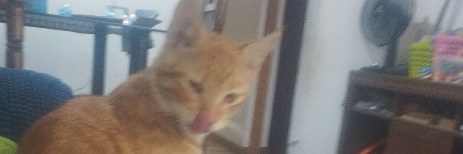 marythaaax's profile banner image
