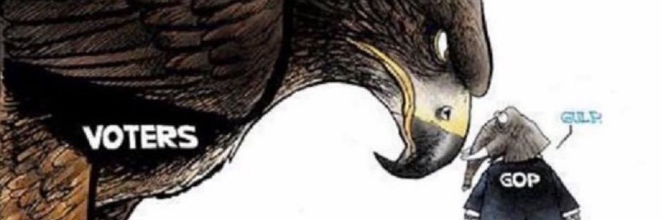 deplorabledg's profile banner image