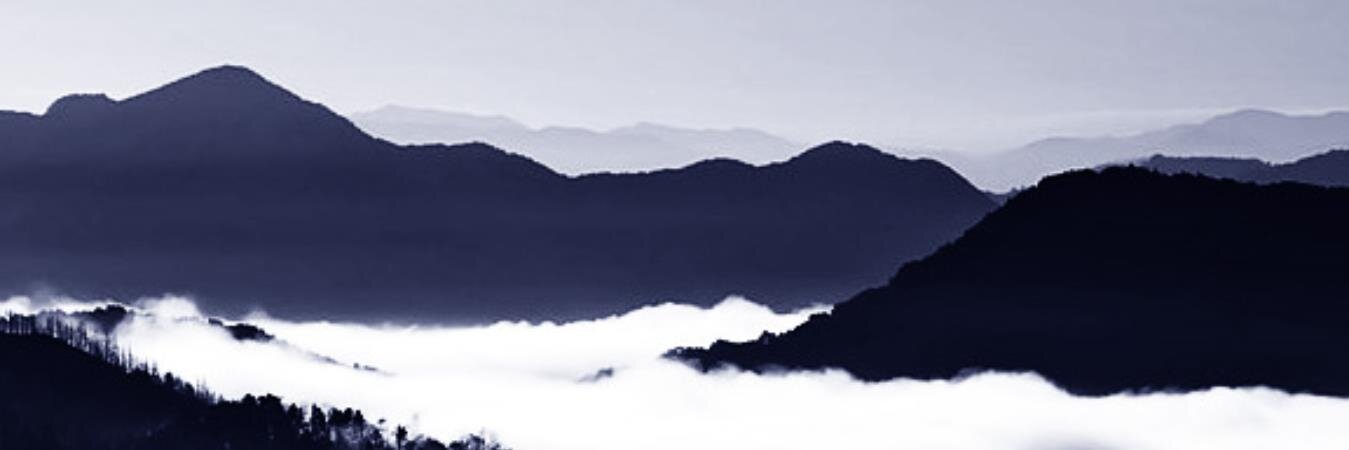 MartinAppletree's profile banner image