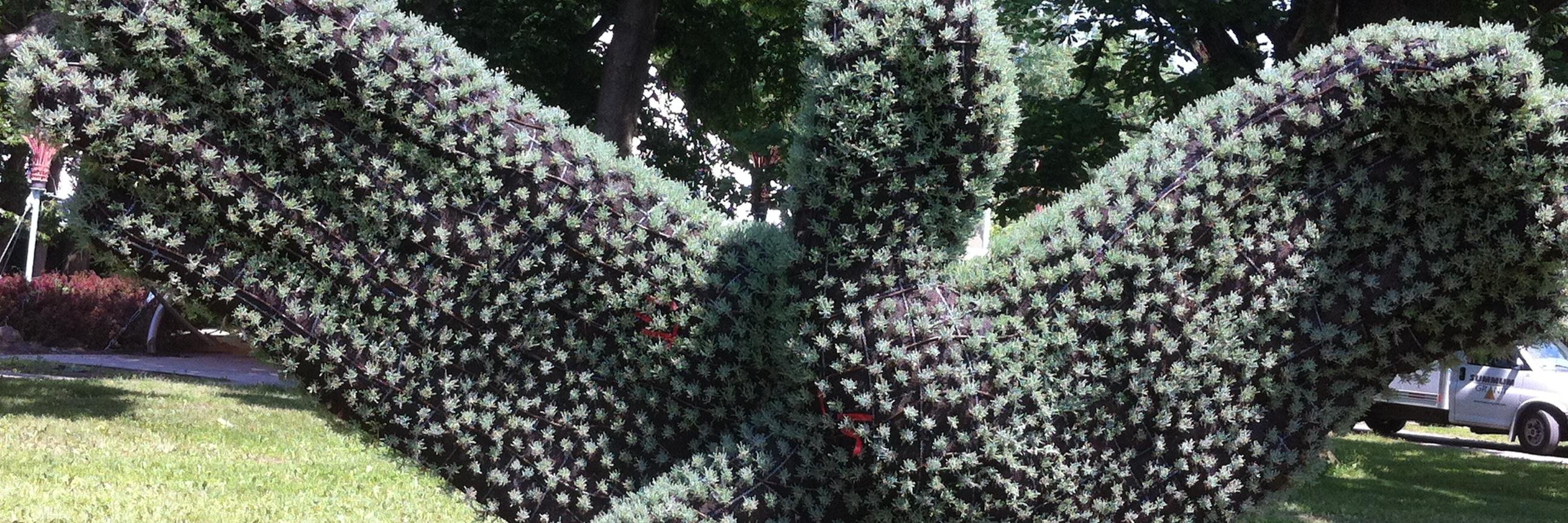 Dr Safia Slimani banner