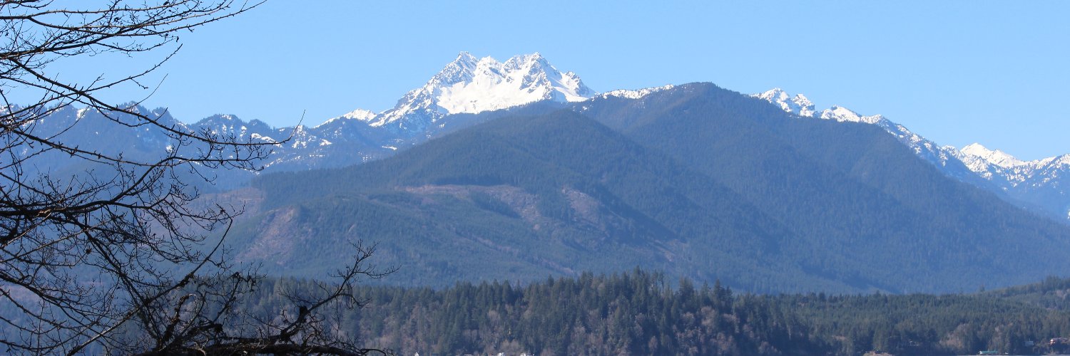 DarcyHuffman35th banner