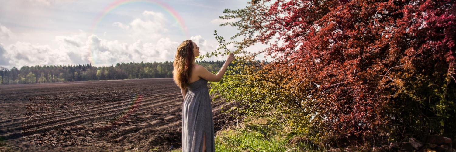 froukjewilming's profile banner image
