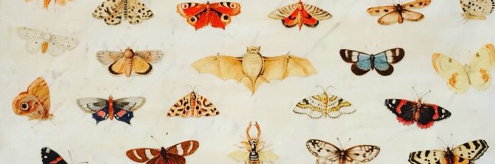 chihajeli's profile banner image