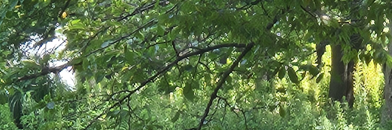 mukuuu16's profile banner image