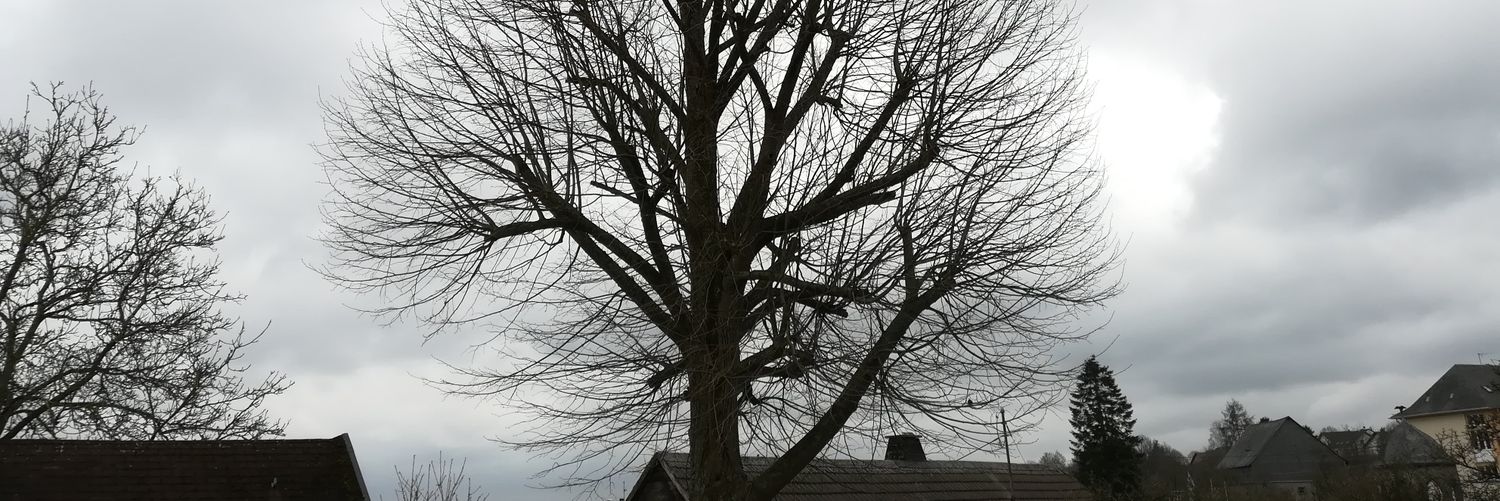 fjquintas's profile banner image