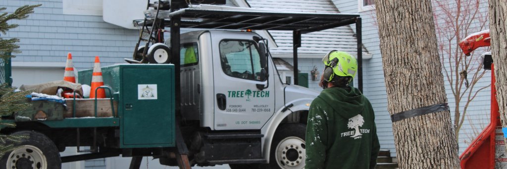 TreeTechInc's profile banner image