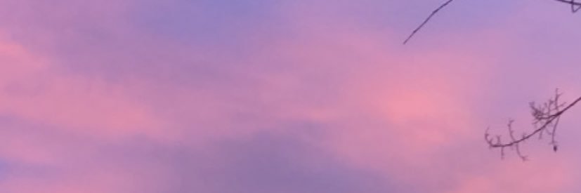 sunkissana's profile banner image