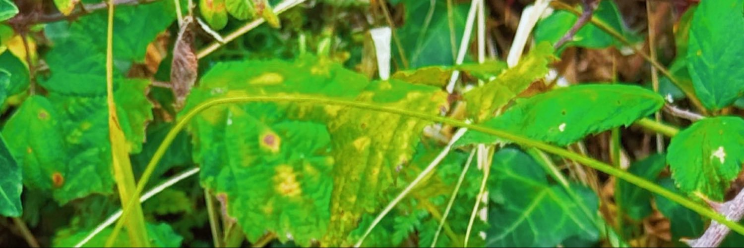 tbellyxs's profile banner image