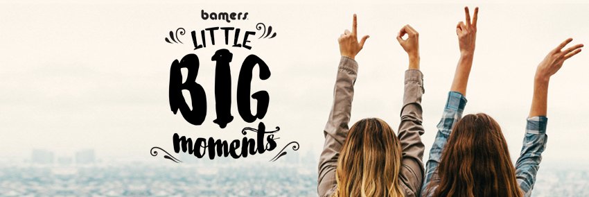 Bamers banner