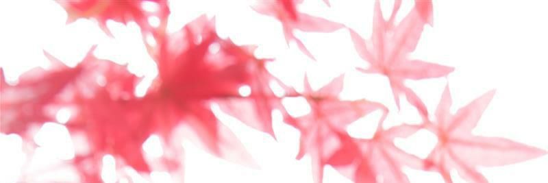 KMM64968467's profile banner image