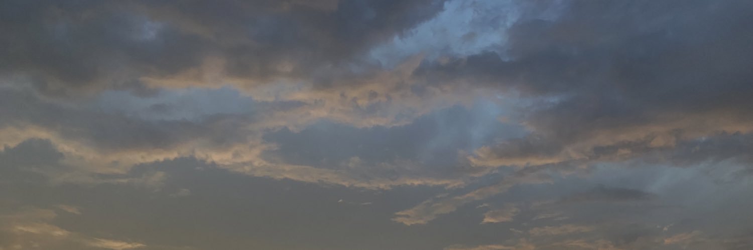 ash banner