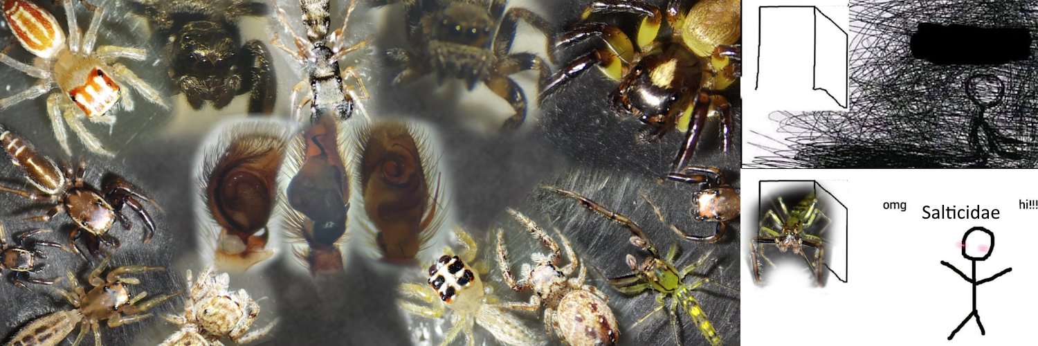 bio louvador🕷️ banner