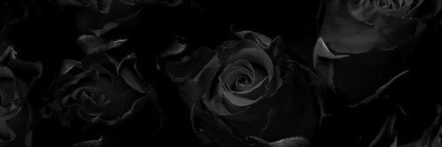 youssrada's profile banner image