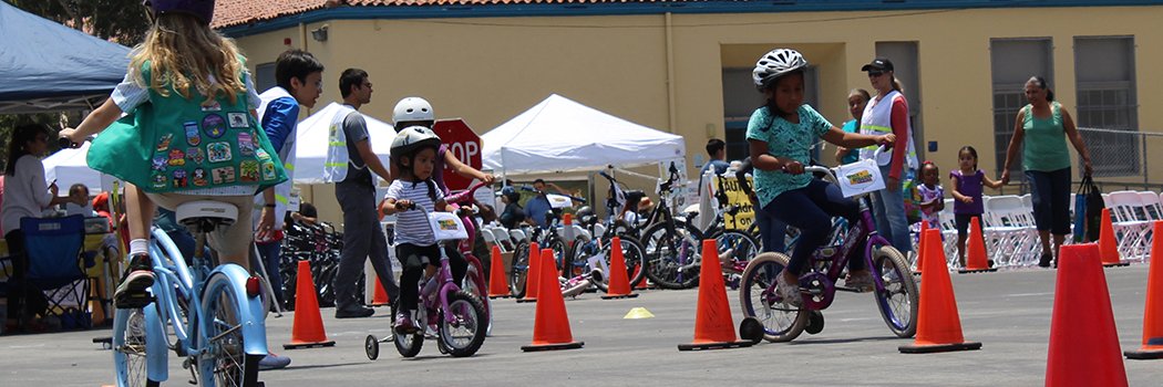 Walk 'n Rollers banner