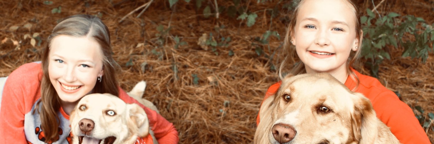 staceylhart's profile banner image