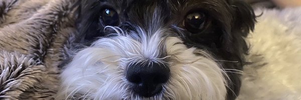 georgieg603 Profile Banner