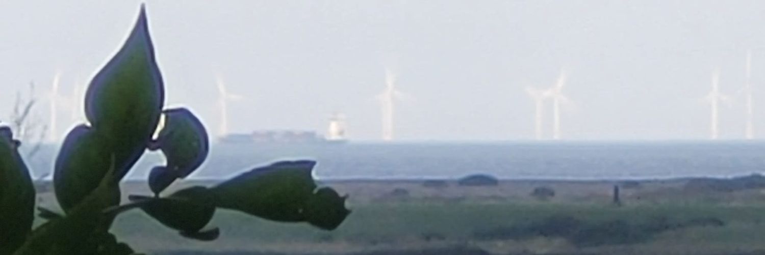 redwaz's profile banner image