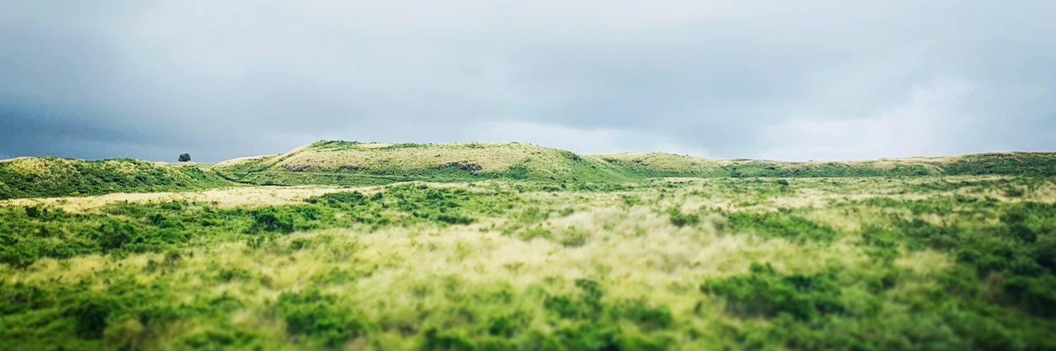 jamesmcclamroch's profile banner image