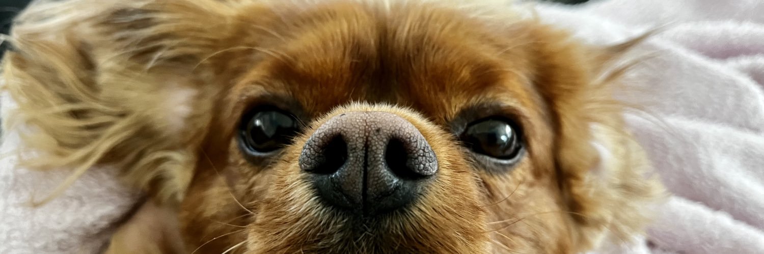 ASIANAIS_'s profile banner image