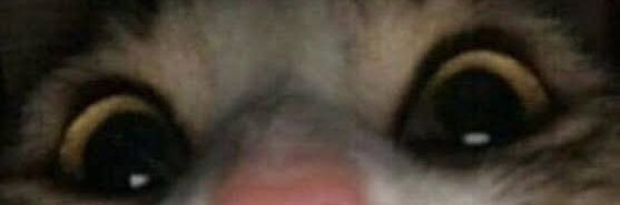 supitsmexd's profile banner image