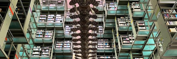 Alexsanrod7 Profile Banner