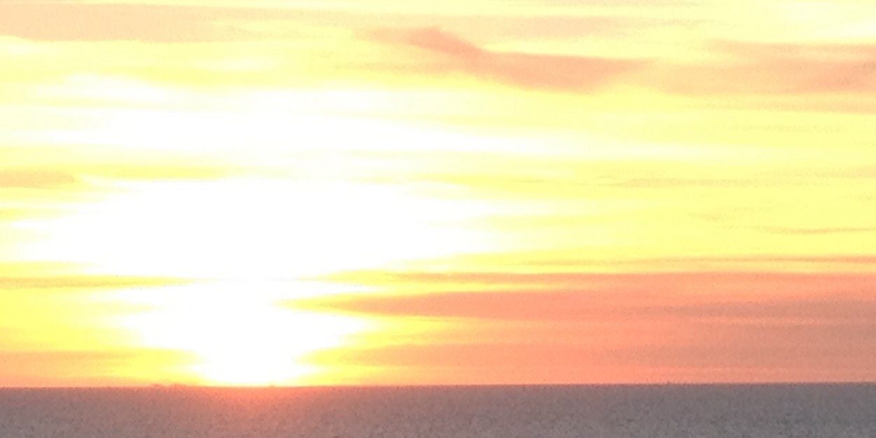 WMacrini's profile banner image