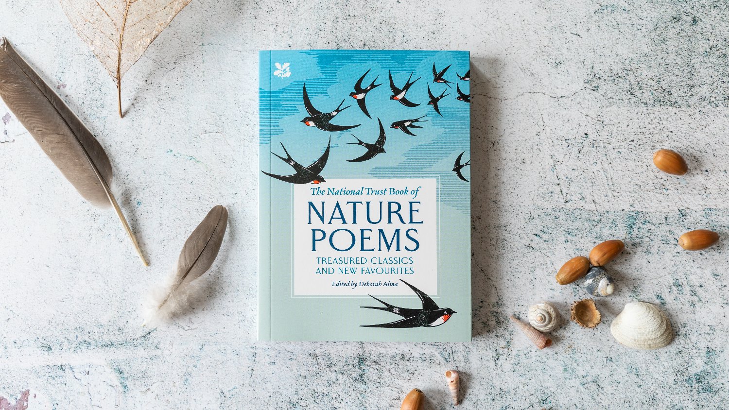 National Trust Books banner