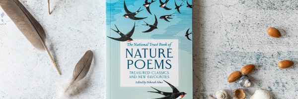 NTBooks Profile Banner