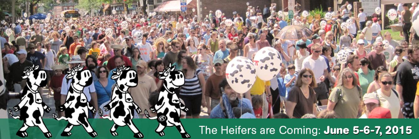 Strolling Heifers banner