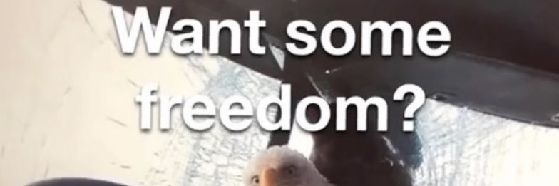 who_else_likes_memes banner