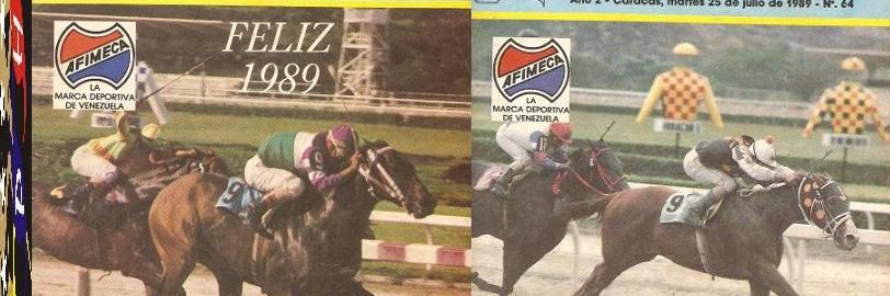 geiser adan banner