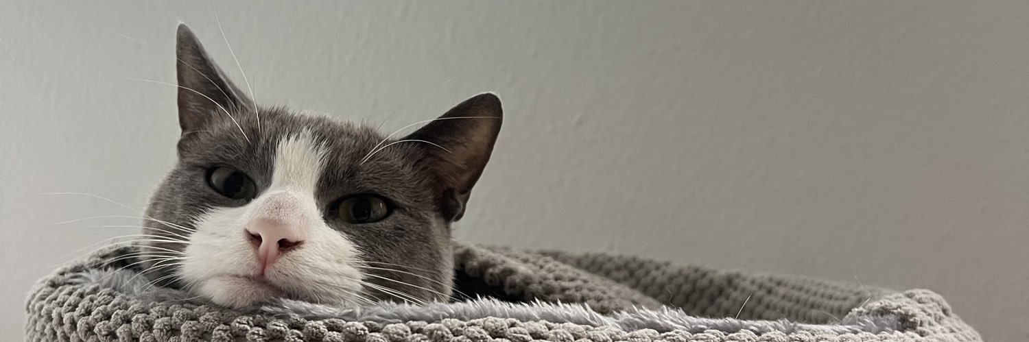 bbygemz banner