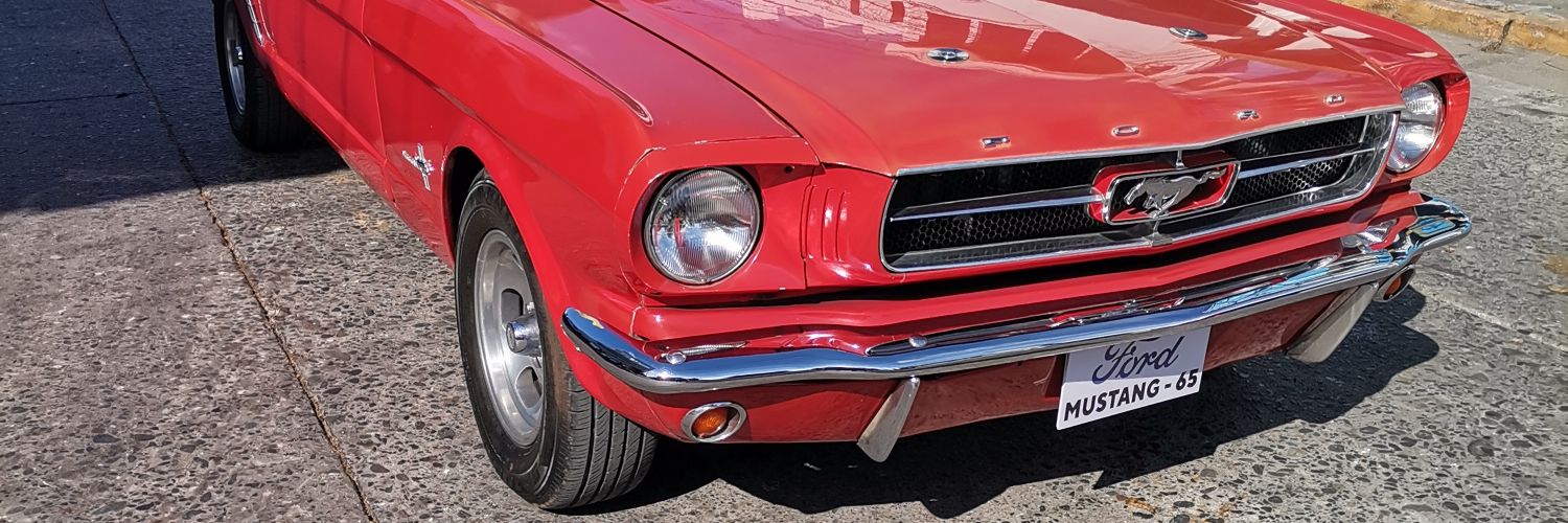 Boris Guzmán banner