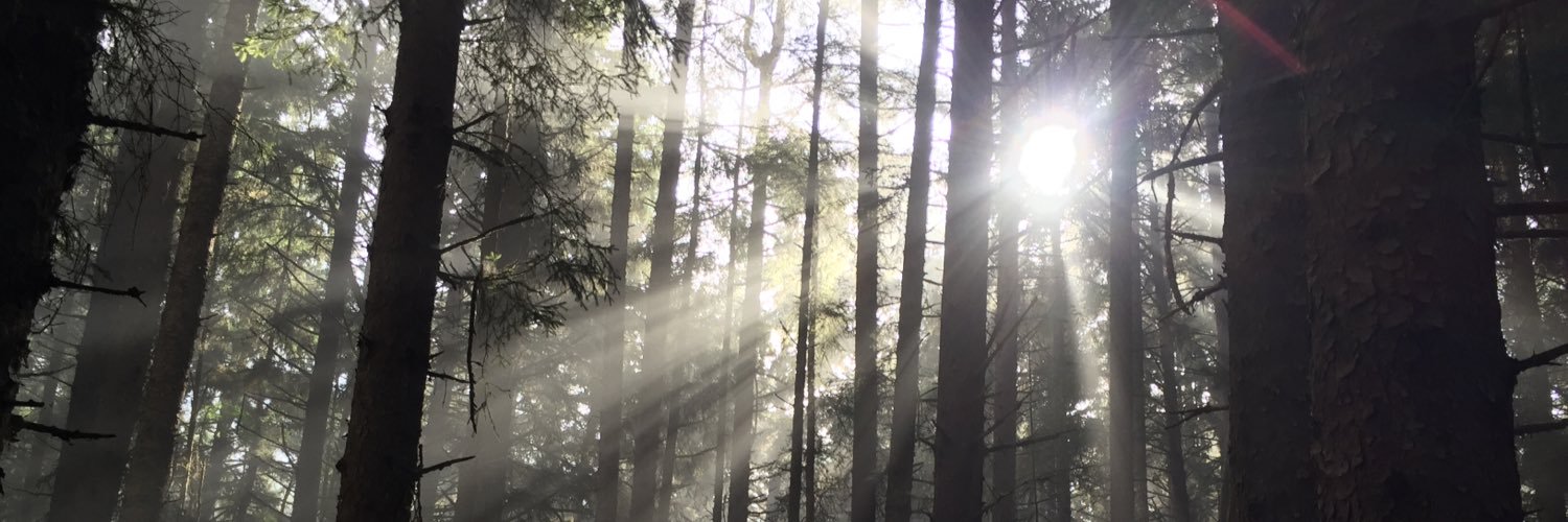 RedassRanch's profile banner image