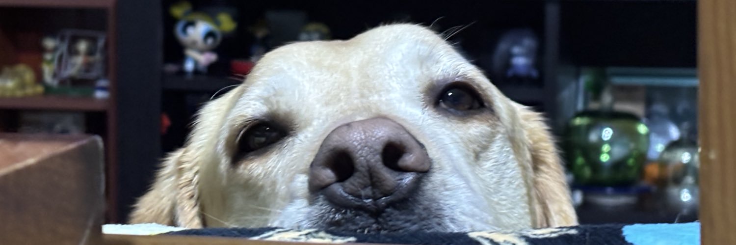 PaoFg_'s profile banner image
