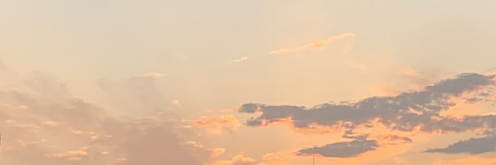 38_mt_'s profile banner image