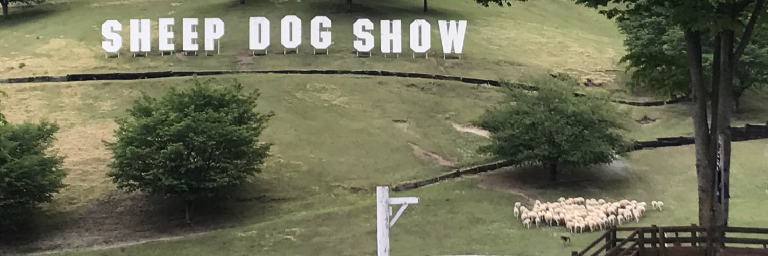 かにになりたいね's banner