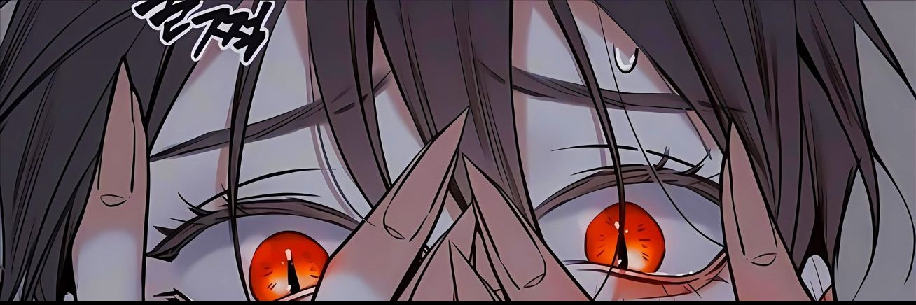 zynxsh's profile banner image